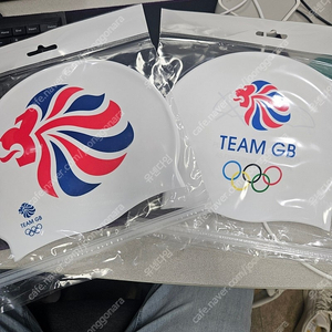 스윔지 Team GB 수모