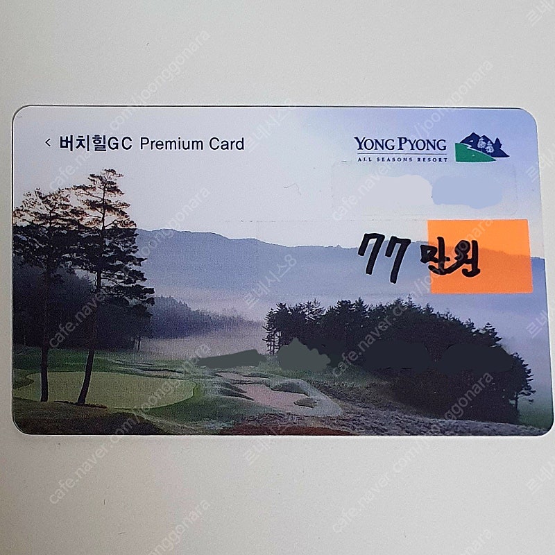 용평리조트(모나 용평) 선불카드 77만원