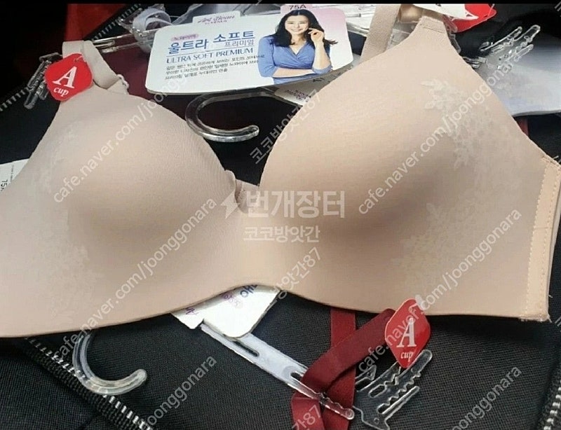 무료배송 비너스 노와이어 프리미엄 브라 2장 75b 27,500원