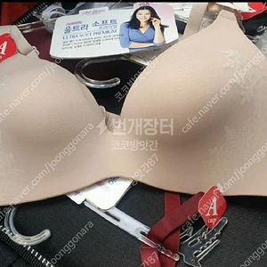 무료배송 비너스 노와이어 프리미엄 브라 2장 75b 27,500원