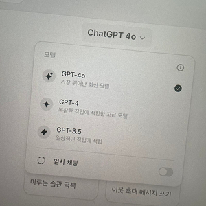 챗gpt 4.0 (질문/한달용)