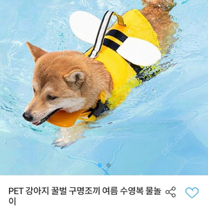 강아지 꿀벌 구명조끼 수영복 M사이즈