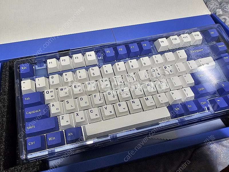 앱코 ag75 블루 갈축(넌클릭)--0