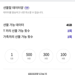 sk데이터 2기가