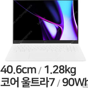 LG전자 그램 프로16 16Z90SP (울트라7/ram32g/rtx3050)