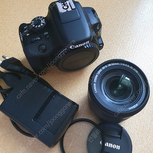 캐논 100d