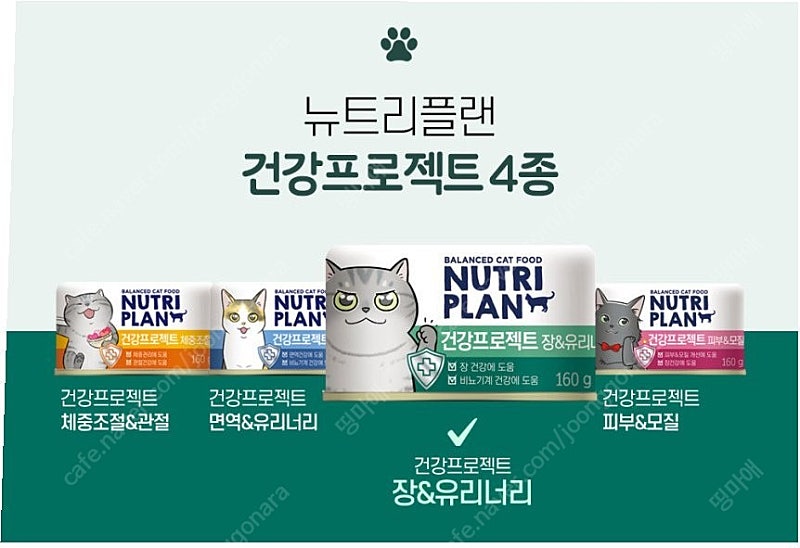 동원 뉴트리플랜 건강프로젝트 고양이캔