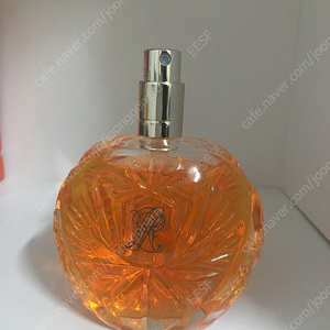 랄프로렌 사파리 우먼 EDP 125ml