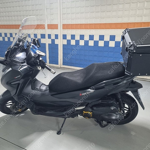 19년식 포르자 300(nmax, pcx, xmax)판매합니다