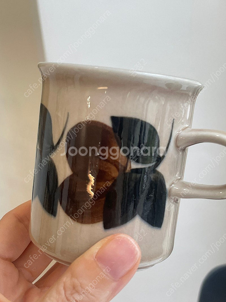 아라비아핀란드 루이자 톨컵--0