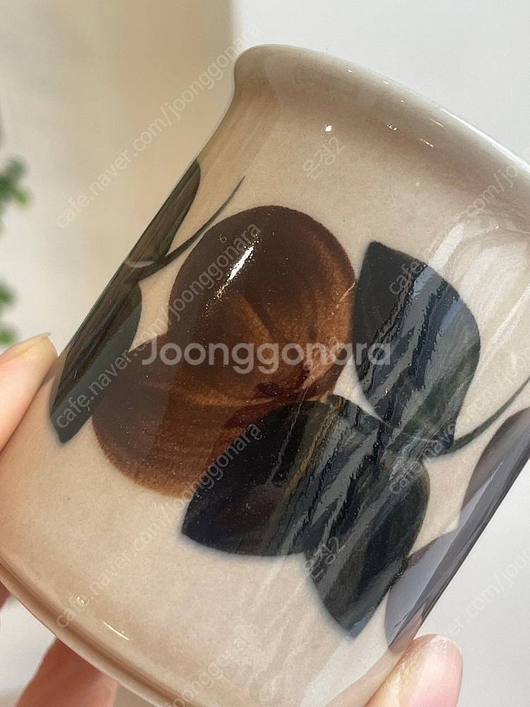 아라비아핀란드 루이자 톨컵--1
