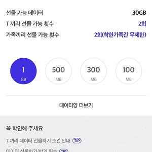 skt 데이터 2기가 2500원