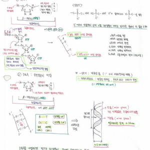 약대합격생 일반생물 필기노트(백분위:99.3%)