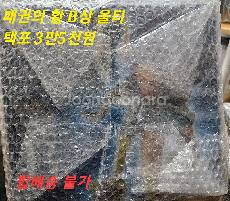 원피스 백수해적단 제일복권 피규어 팝니다.--1