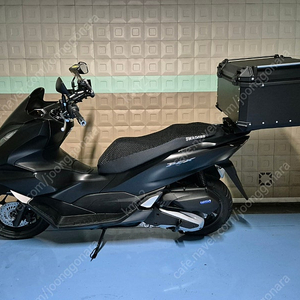 신차급 혼다 PCX125 ABS 24년식 스쿠터 팔아요