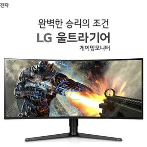 LG전자 34GK950F 34인치 21:9 울트라기어 게이밍모니터 G-Sync 커브드