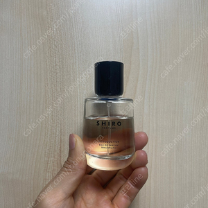 시로 인트로덕션 50ml, shiro introduction