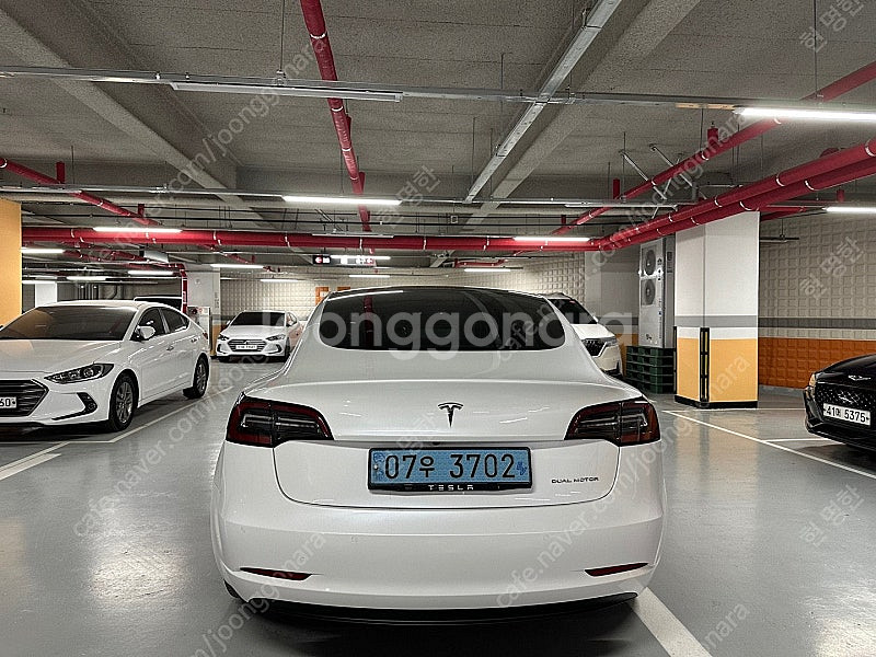테슬라 모델 3 EV AWD 롱 레인지 3,890만원 ...--3