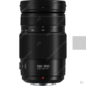 파나소닉 Vario 100-300mm F4-5.6 II POWER OIS 삽니다