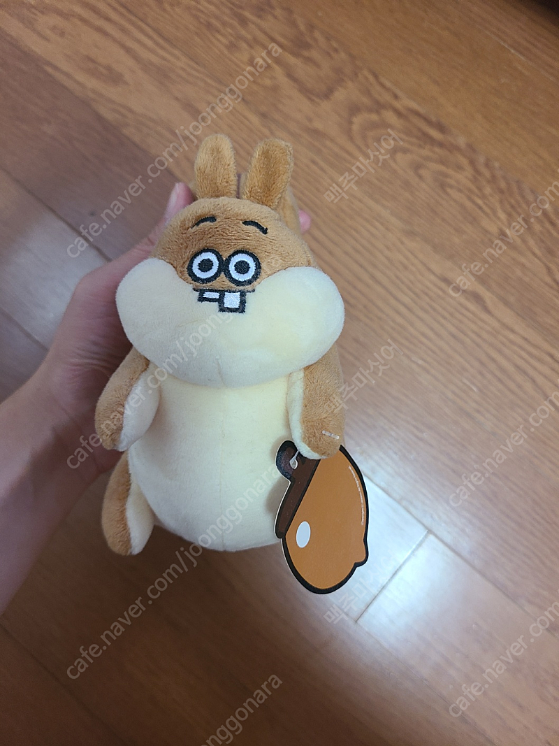 똘망똘망 다람이 인형 운포 35000원