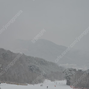 (개인)무주리조트 창립 실버 회원권