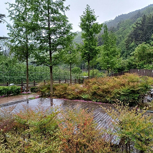 에하임입수관(16/22)구힙니다