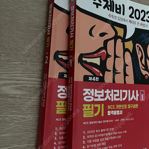 2023 수제비 정보처리기사 필기