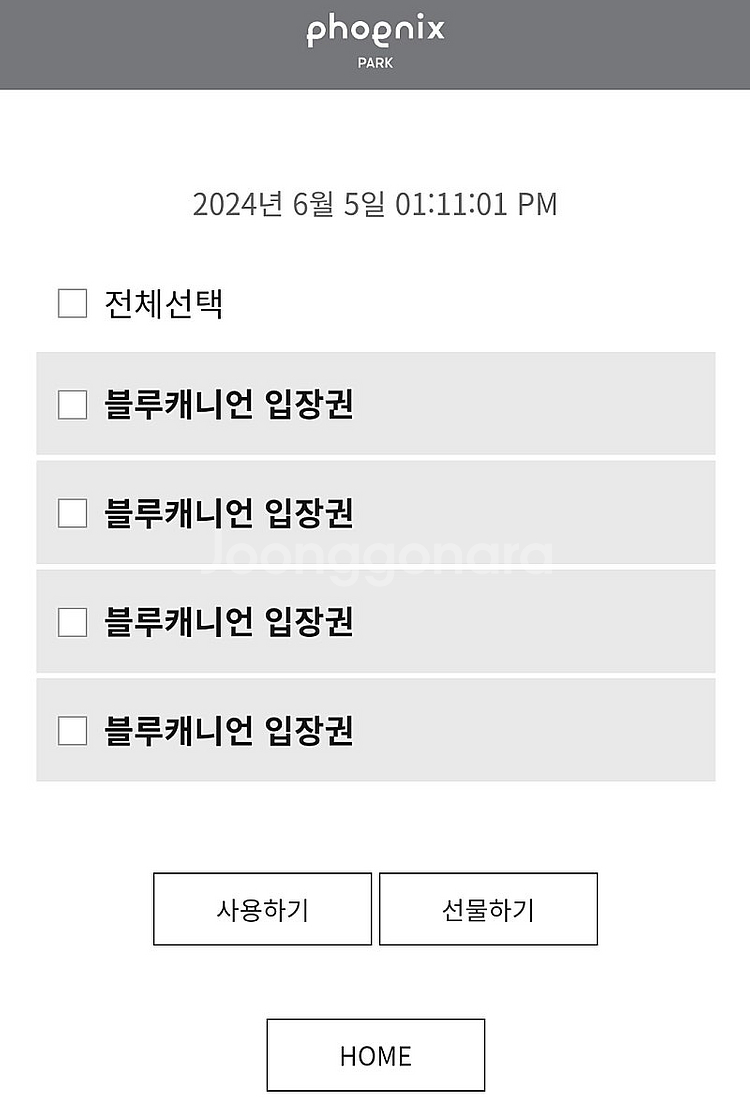 휘닉스 파크 블루캐니언 종일권(7월 5일~6일)--0