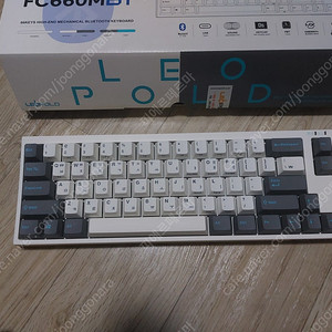 FC660M BT 화이트 그레이 저소음 적축.