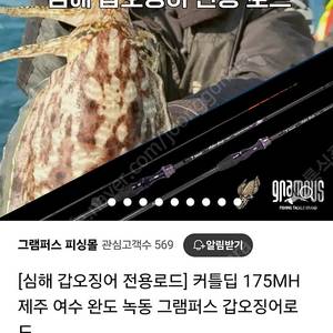 그램퍼스 커틀딥 170H 심해갑오징어대