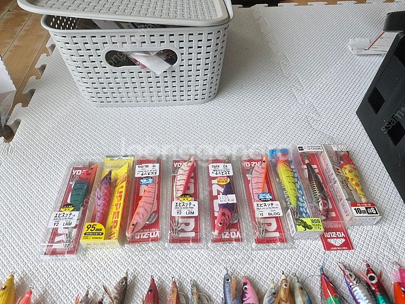 에기 팜니다 쭈갑 한치 메이커에기팜.--2