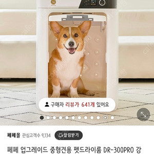 페페 펫드라이룸