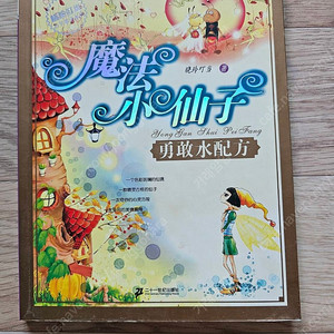 마법소선자(魔法小仙子) / 초등학생 수준의 중국어 동화책 팔아요~