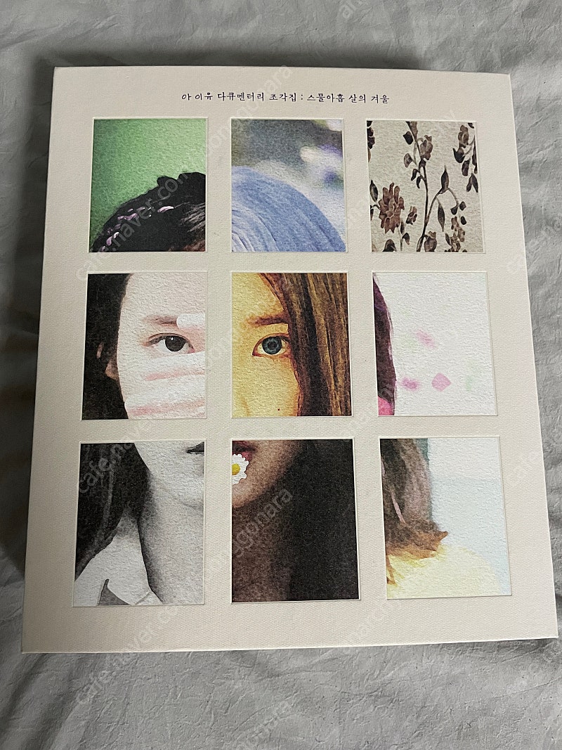 아이유 - 조각집 : 스물아홉 살의 겨울 [BD + DVD + CD]