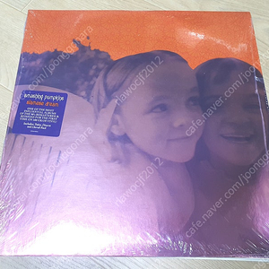 smashing pumpkins - siamese dream 리이슈 lp 판매합니다.