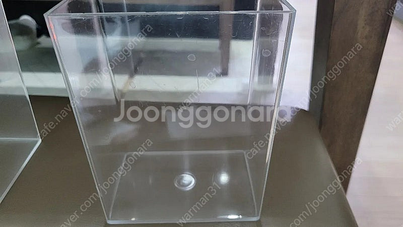 베타어항(룹통1)--0