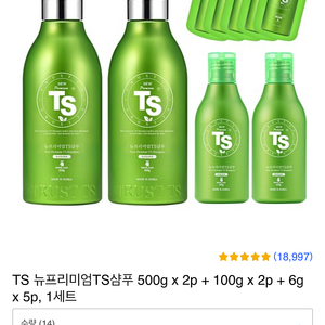 (미개봉 새상품) TS 뉴프리미엄 샴푸 500g 2개 + 100g 2개 + 6g 5개 -> 이대로 다 보내드려요