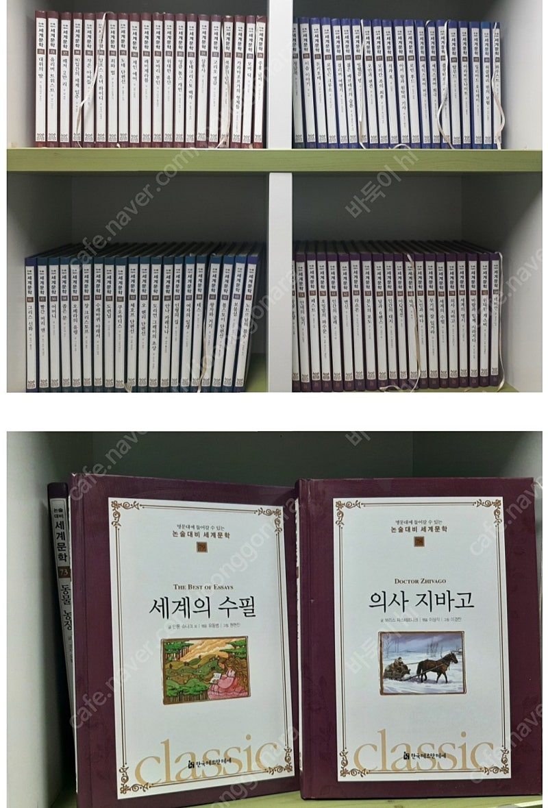 명문대에 들어갈 수 있는 논술대비 세계문학 총80권 택포