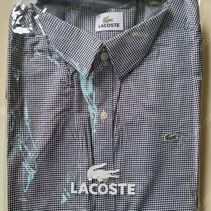 lacoste check shirts 깅엄