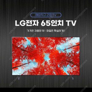 LG 65인치 스마트TV 판매 (색상밝기)