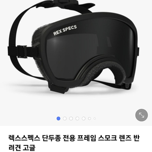 애견 단두종 고글 렉스 스포츠