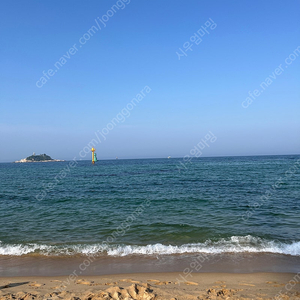 [구해요]제천워터파크캠핑랜드 글램핑 양도해주실분(7/27-28)