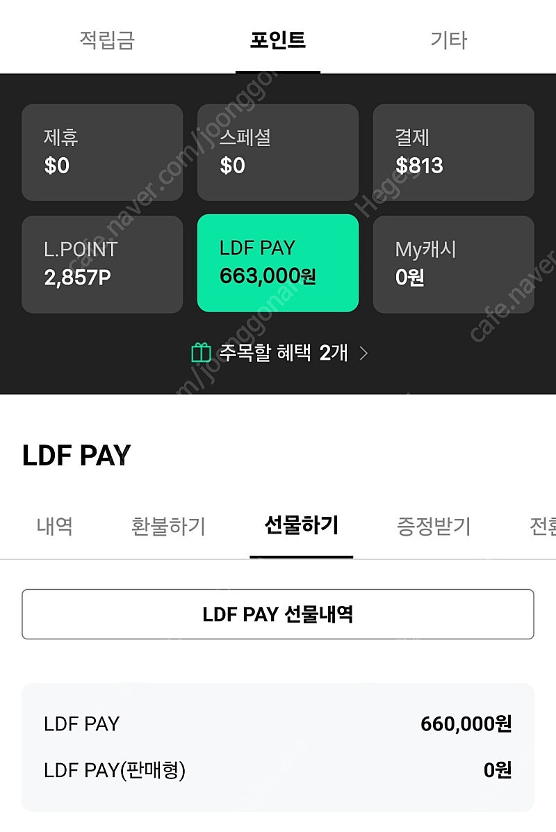 LDF PAY 롯데면세점 금액권