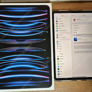 아이패드 프로 M2 4세대 11인치 256기가 WI-FI 애케플 1년반 남음