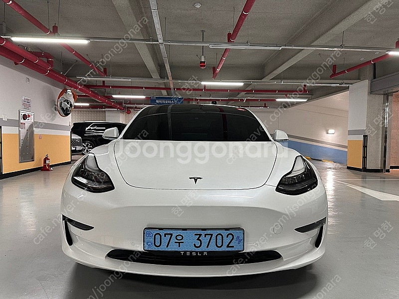 테슬라 모델 3 EV AWD 롱 레인지 3,890만원 ...--0