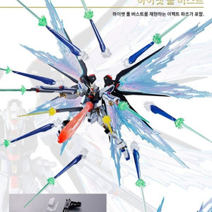 메탈로봇혼 스트라이크 프리덤 1식 20주녀 삽니다