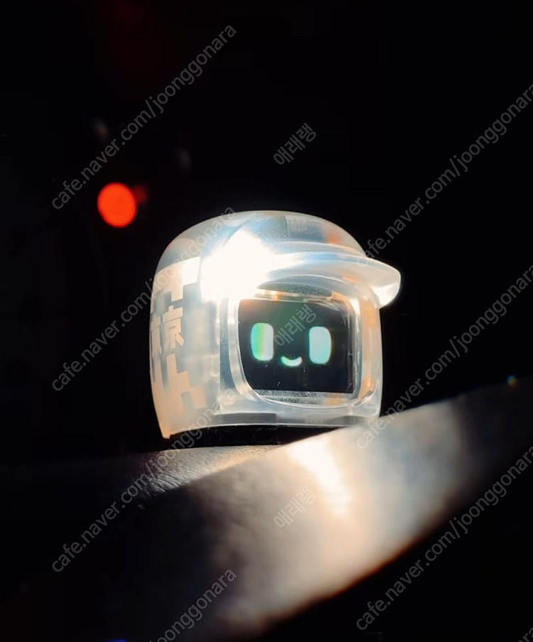 다사이모찌 도쿄 모찌 리미티드--0