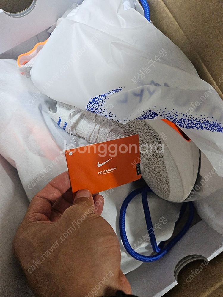 알파플라이3 블루프린트 260--0
