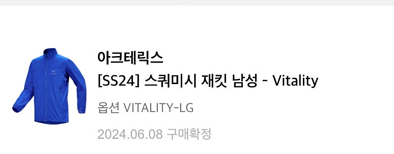 24ss 아크테릭스 스쿼미시 자켓(L사이즈/VITALITY)