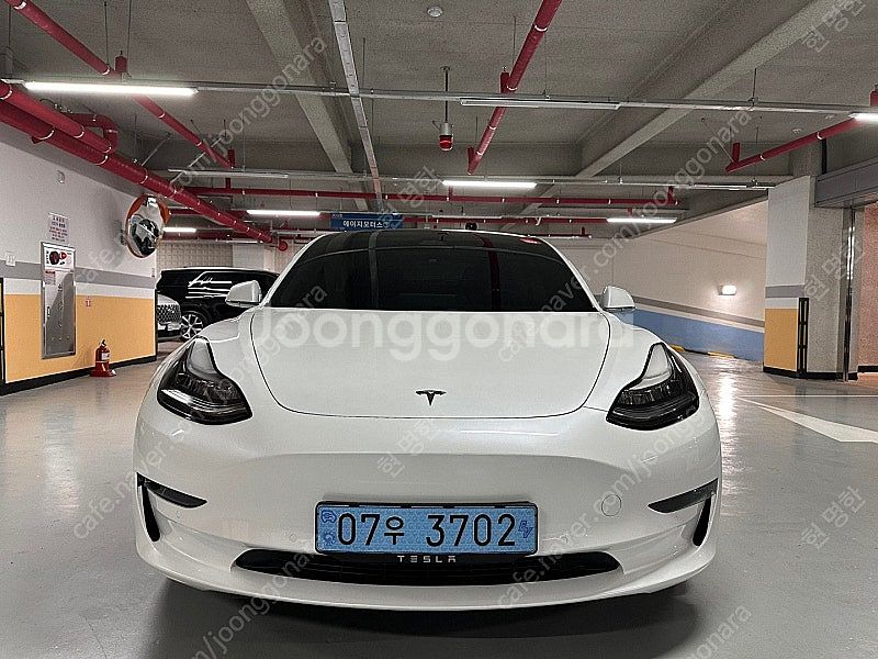 테슬라 모델 3 EV AWD 롱 레인지 3,890만원 ...--0